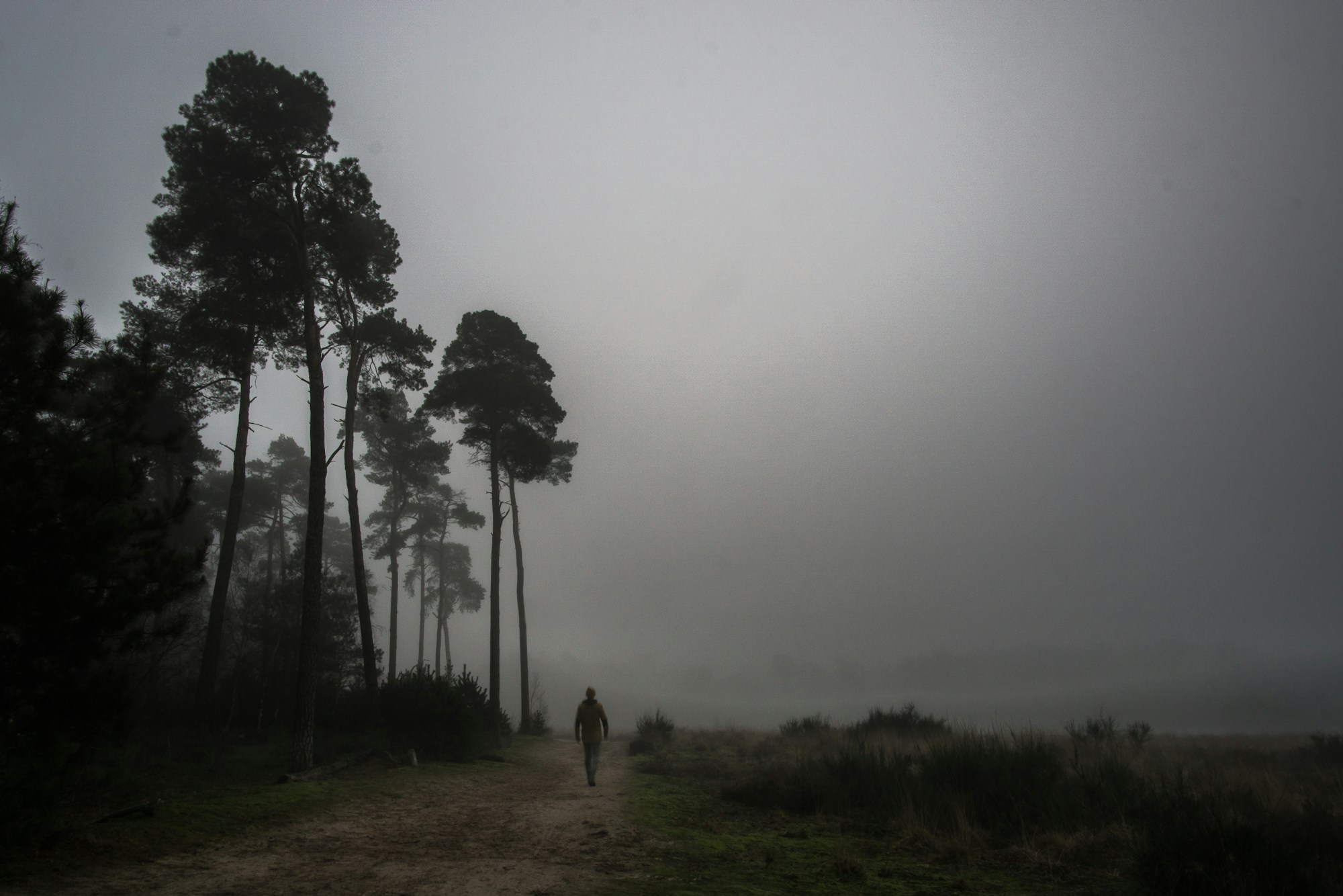 A man walking beside a quiet coastal marsh
